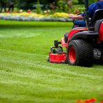 Amazing benefits of choosing commercial landscaping service