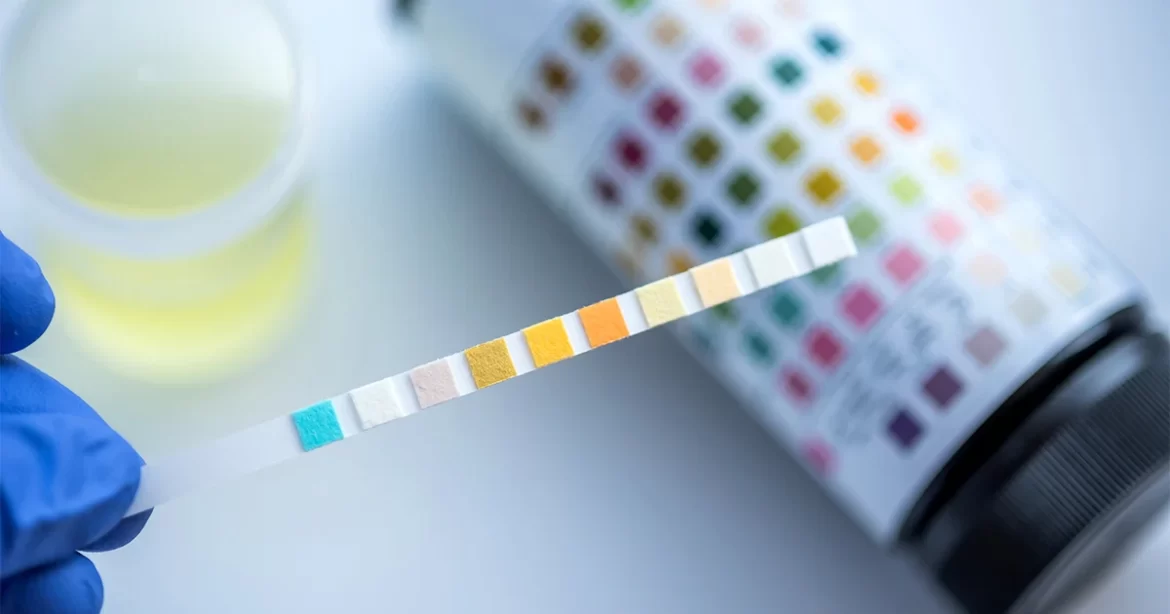In the Shadows: How to Successfully Navigate a Drug Test Undetected!